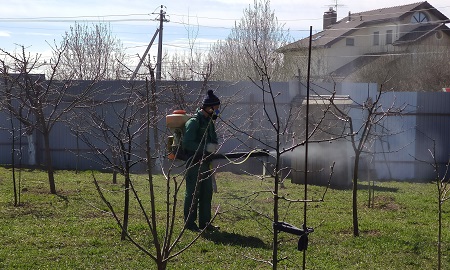Опрыскивание сада весной