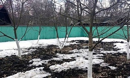Снятие укрытий весной