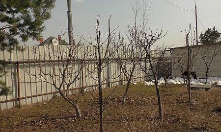 Обрезка сада в апреле
